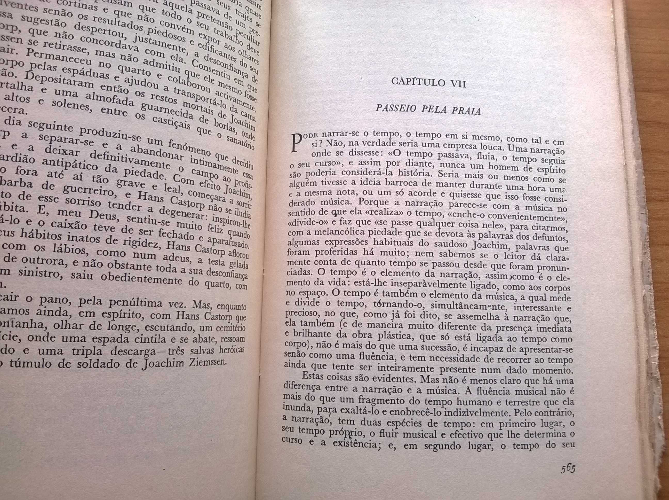 Montanha Mágica - Thomas Mann - Prémio Nobel (1929)