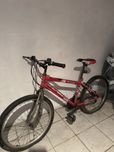 Bicicleta jl-went