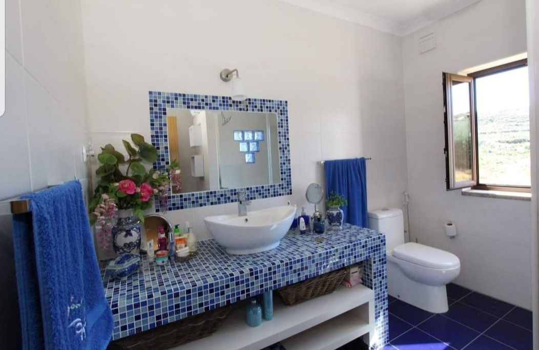 Quinta com Sede restaurada junto ao Rio Mondego