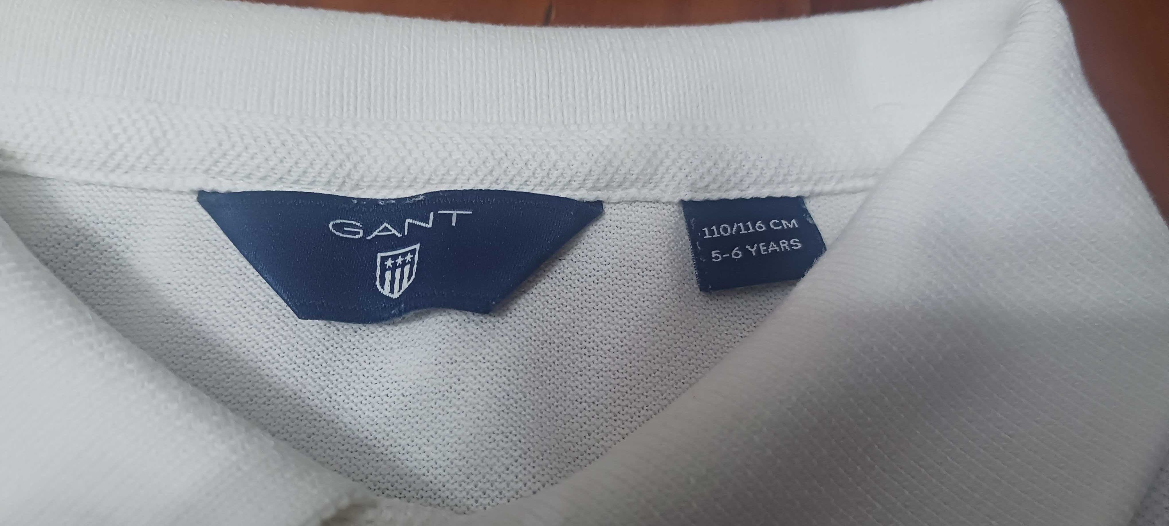 Conjunto de 2 polos e 1 t-shirt para criança - 5/6 anos