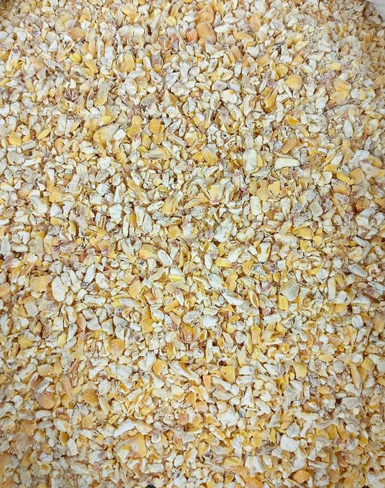 Sprzedam kukurydze gnieciona i cała