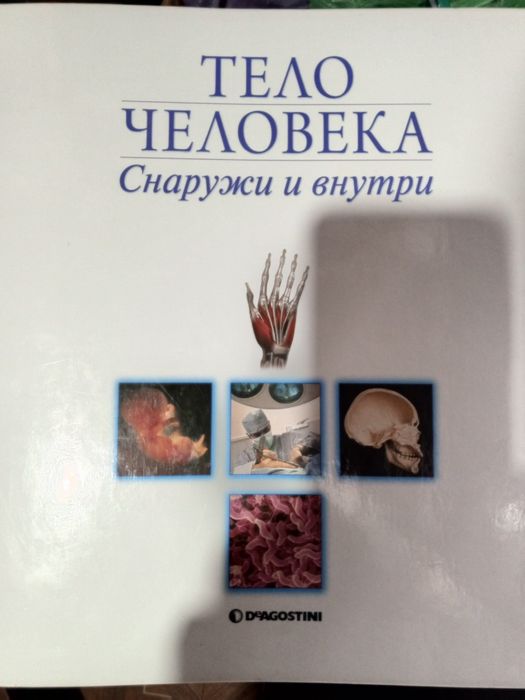 Журналы Тело человека