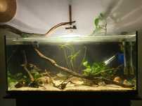 Aquário 200L pronto a funcionar