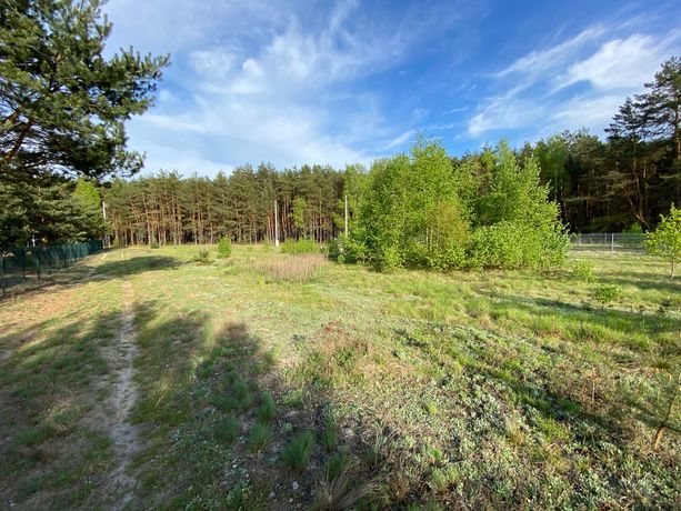 STAWINOGA działka rekreacyjna, blisko Narwi, prąd, 30km od Wawy.