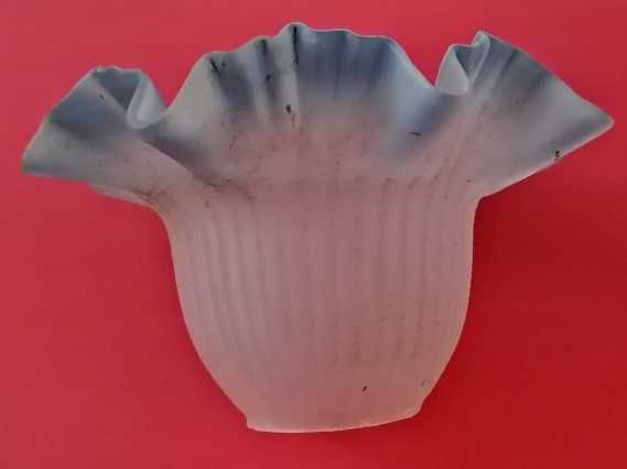 Tulipas de candeeiro, rebordo azul