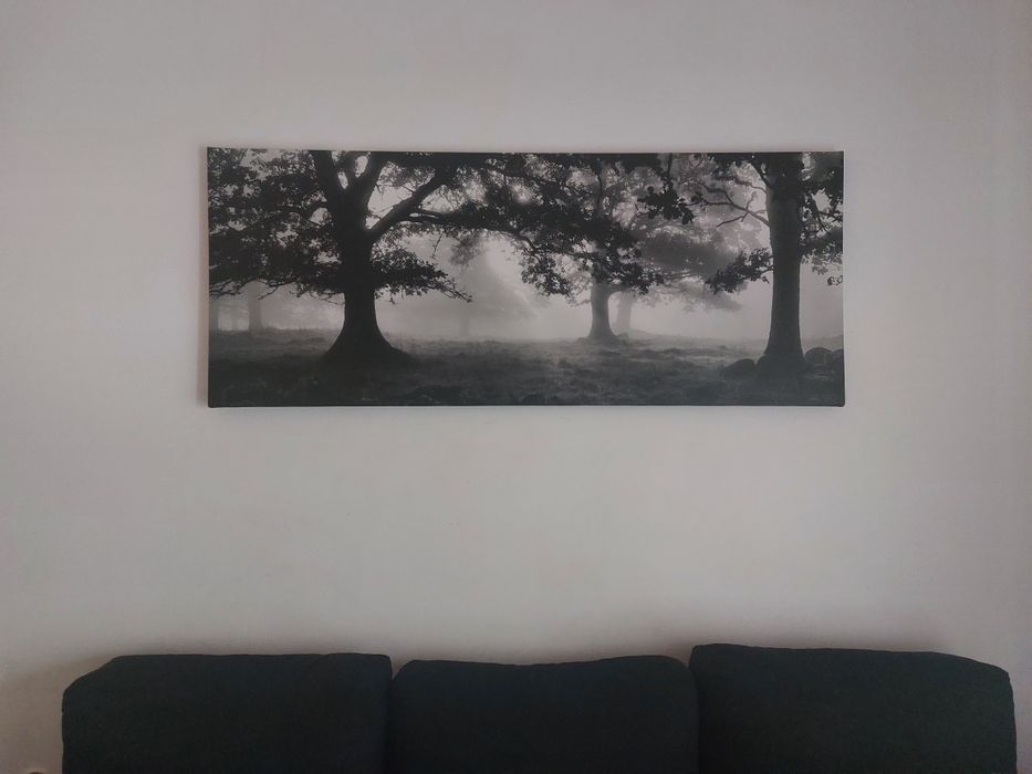 Quadro ikea pjatteryd - floresta negra