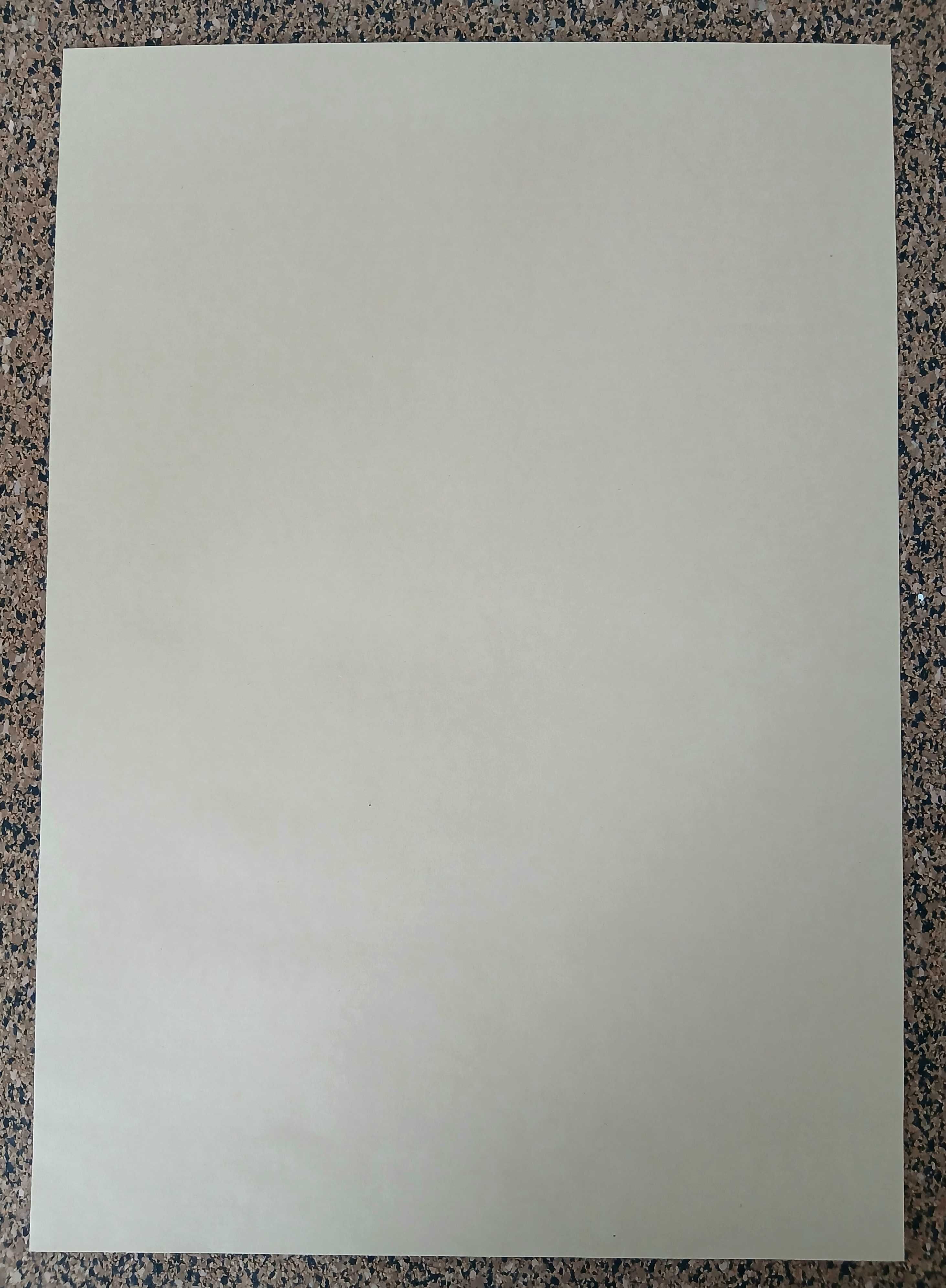Poster - Dune: Paul Atreides (papel kraft, 30x42 cm)