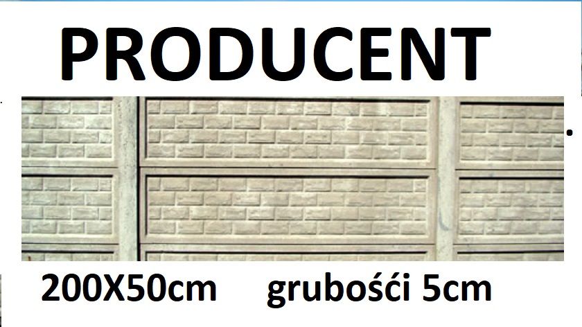 Podmurówka betonowa zbrojona , drut 6mm 250x25x5 PRODUCENT