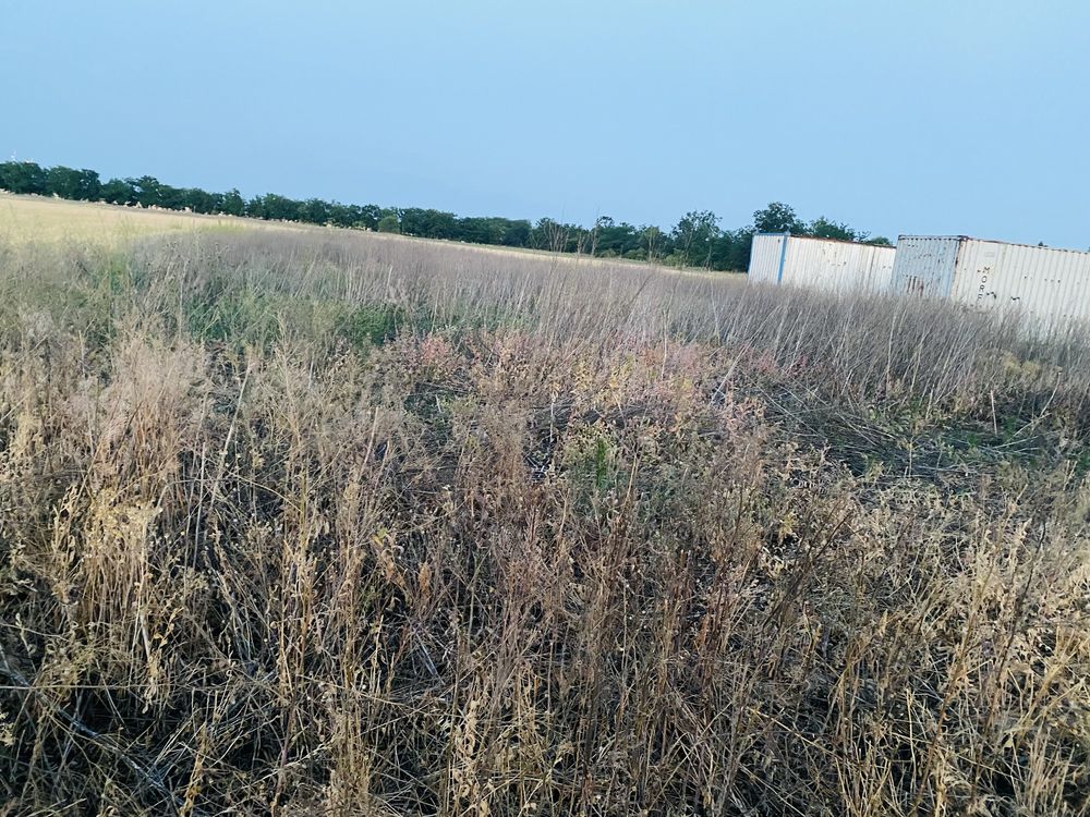 Продам земельну ділянку