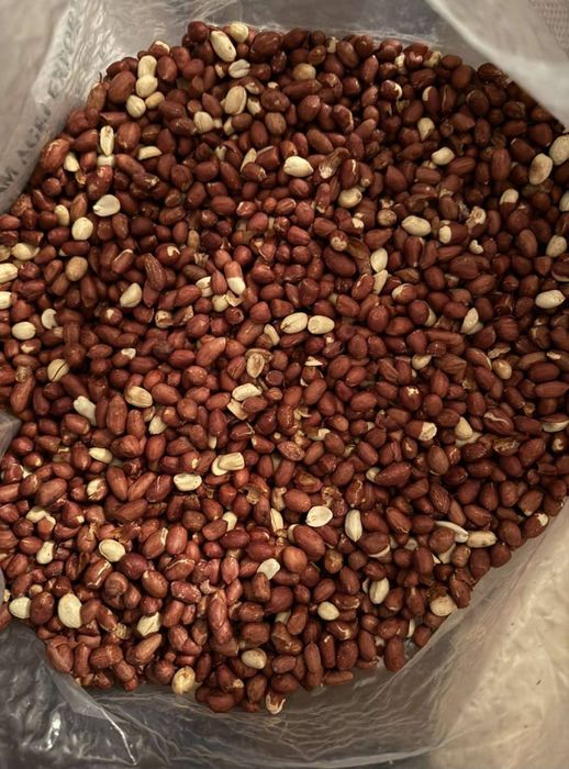 Арахіс сирий,жарений,бланширований,сольоний