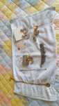 Conjunto de bijuteria