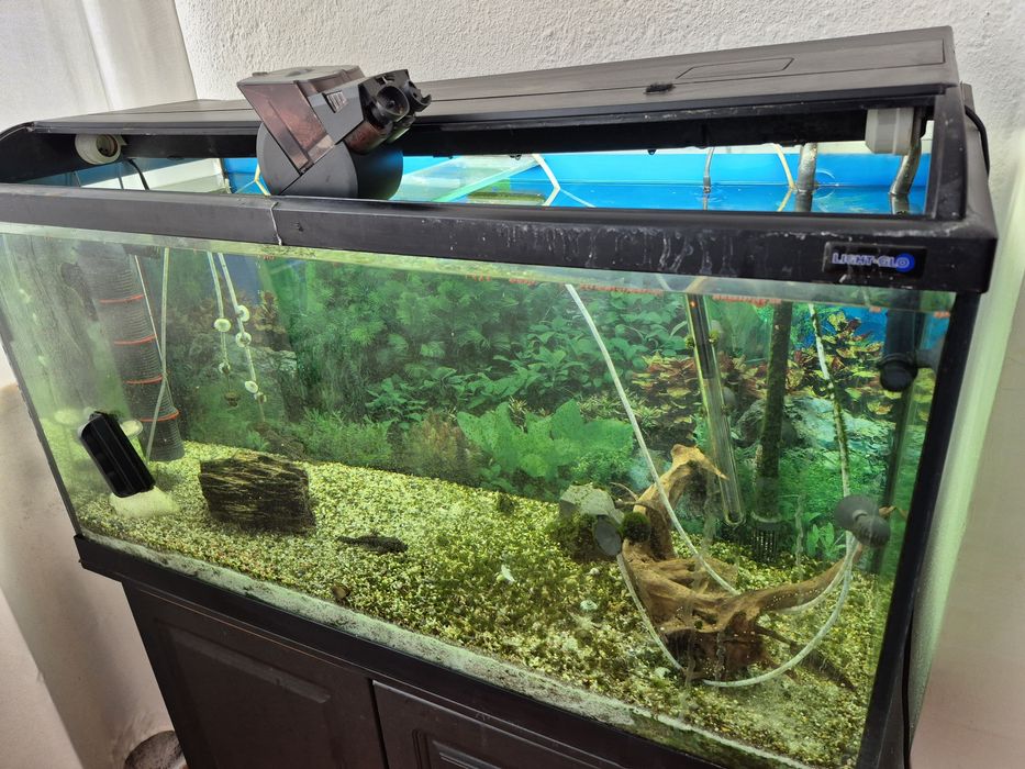 Aquário com móvel e filtros 200l