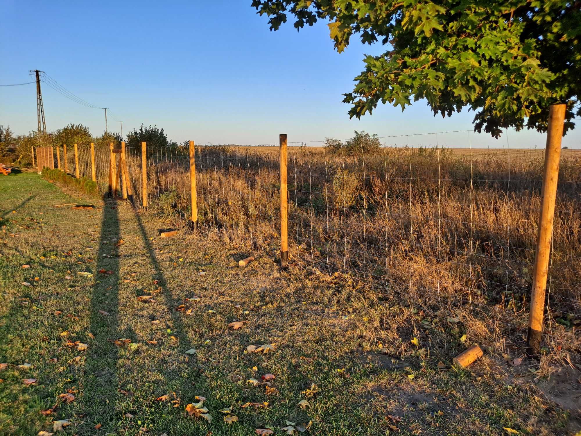 ogrodzenie leśne , budowlane, tymczasowe, płot, siatka leśna