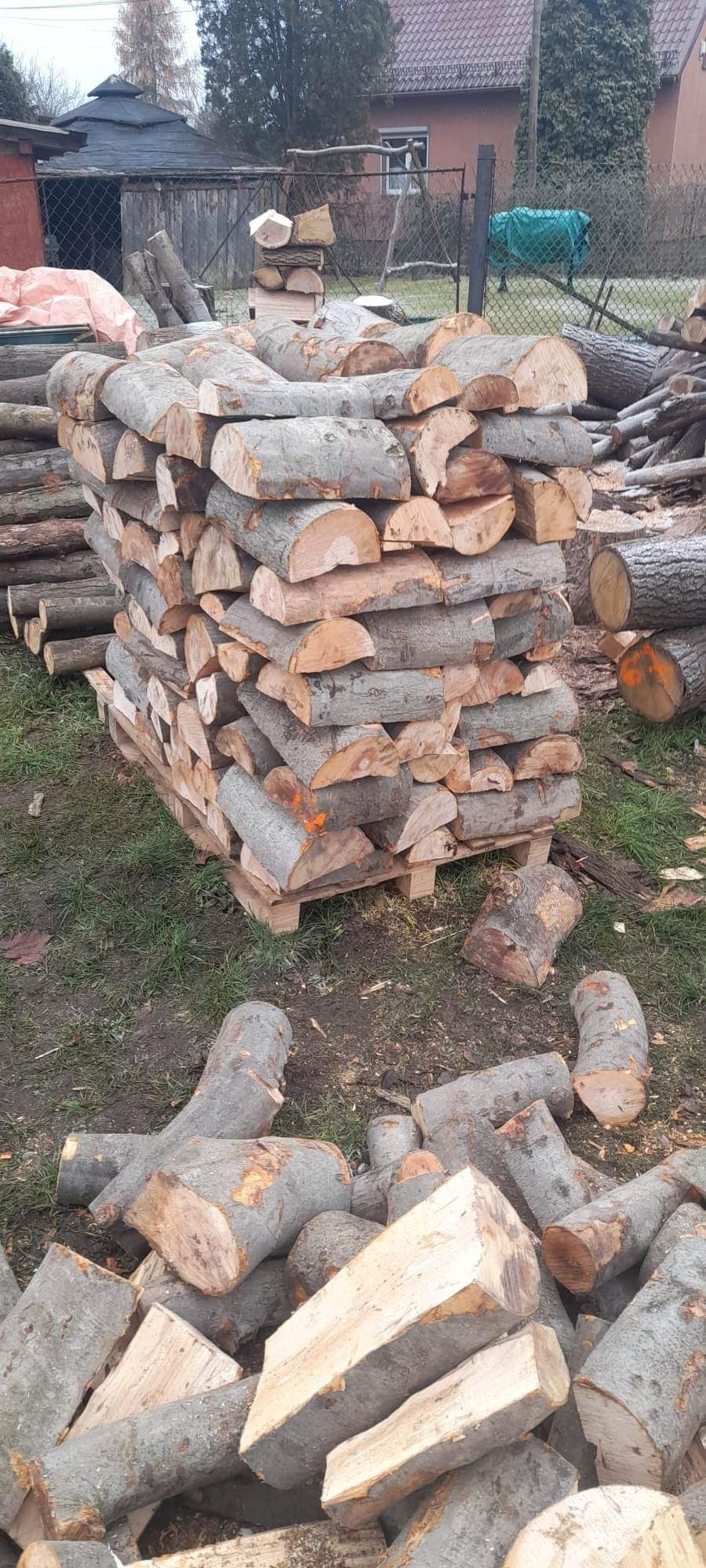 Drewno opałowo-kominkowe GRUBE Brzoza Dąb Osika Buk