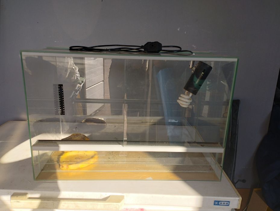 Terarium dla żółwia, węża.