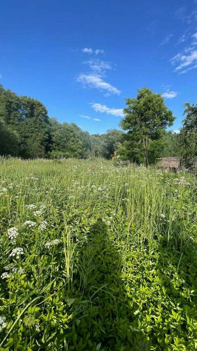 Продаж ділянки 20 сот с. Загір'я, Солонківська ОТГ. Без комісії