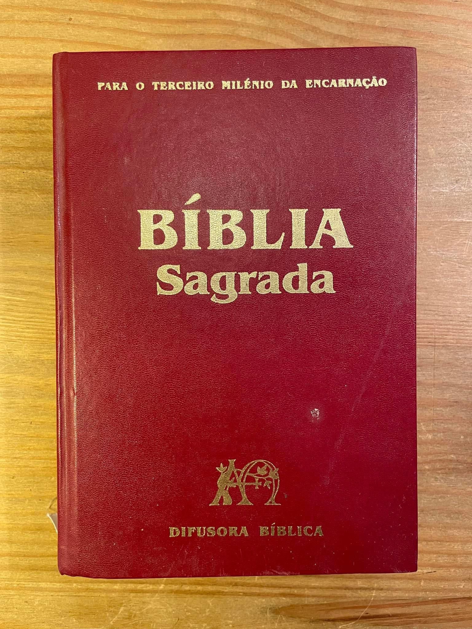 Bíblia Sagrada (portes grátis)