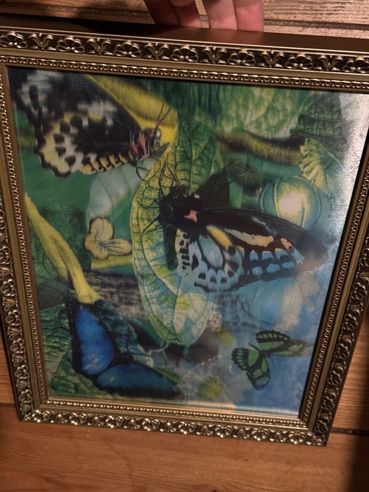 Tropikalne motyle - obrazek 3D w złotej ramie