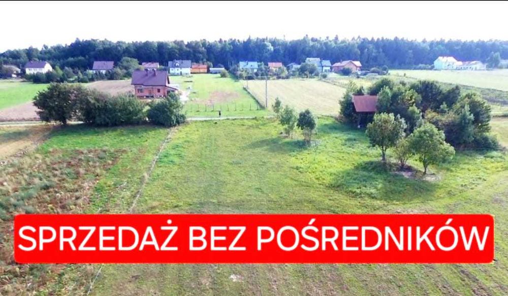 Budowlana Ojcowski P.N. dojazd asfaltowy, 56 arów - BEZ POŚREDNIKÓW