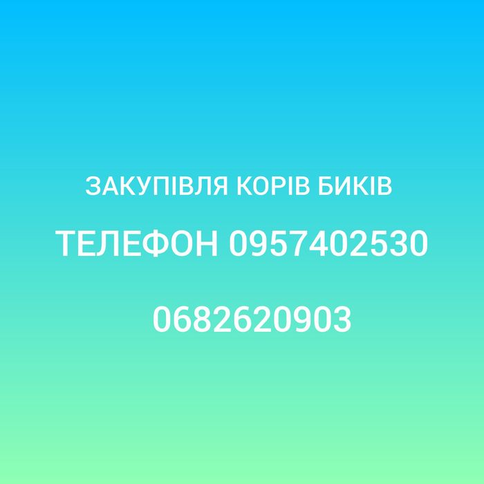 корову, телицю, биків