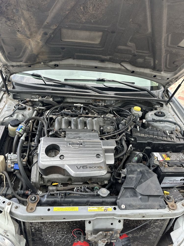 Nissan maxima 3.0 2002 год