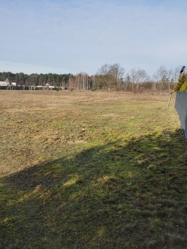 Ziemia rolna 1,5ha jasień