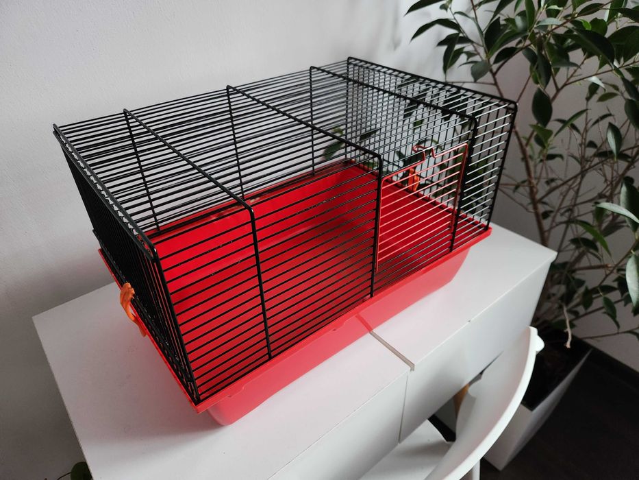 KLATKA DLA KROLIKA CHOMIKA świnki MORSKIEJ myszy szczura 40x30x25cm