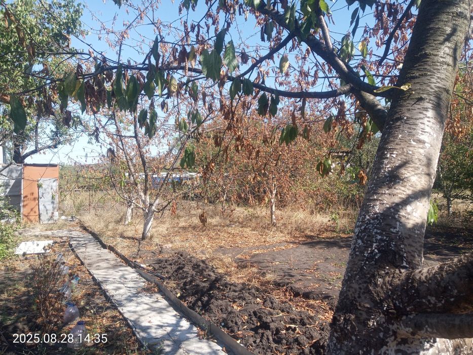 Продам дачу біля зупинки Тернуватий Кут в межах міста 44кв, Рокувата