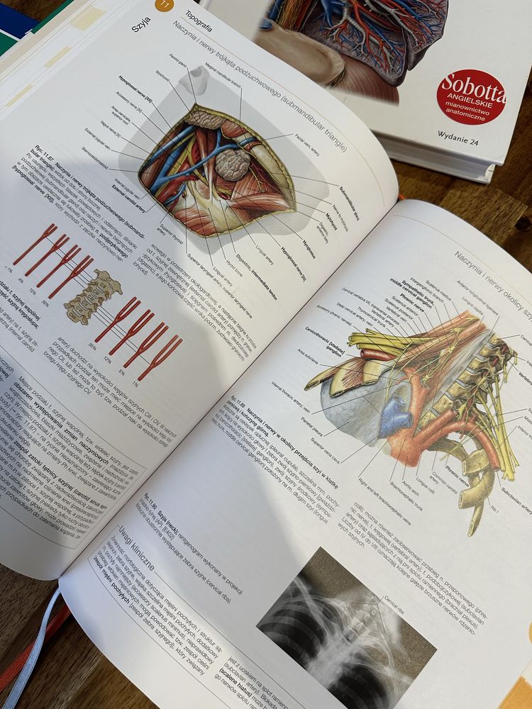 Atlas Anatomii Sobotta 3 tomy angielskie mianownictwo