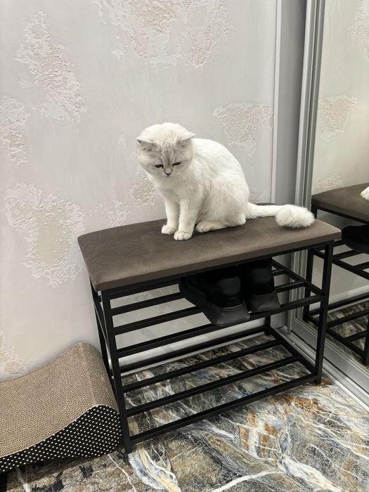 Банкетка под обувь 60*30*45см Loft.