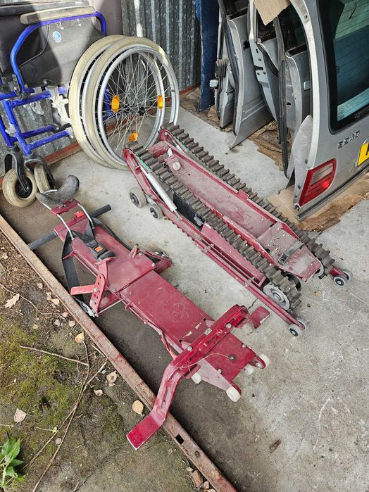 Schodołaz gąsienicowy