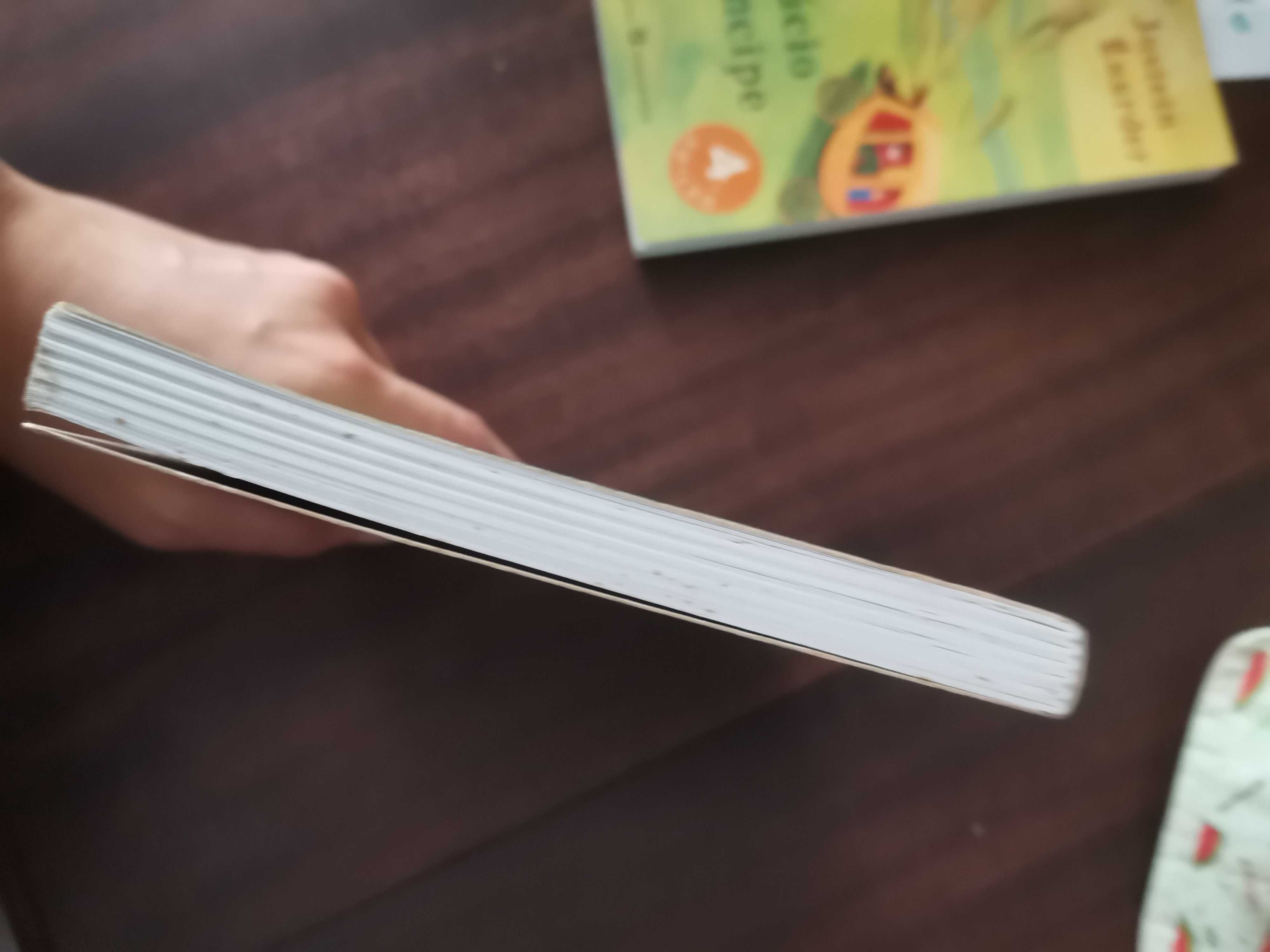 Livro Senhor Deus, esta é a Ana