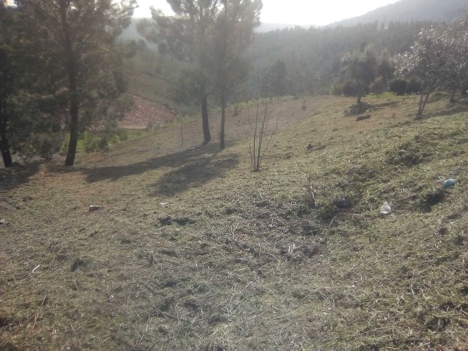 Limpeza  de terrenos