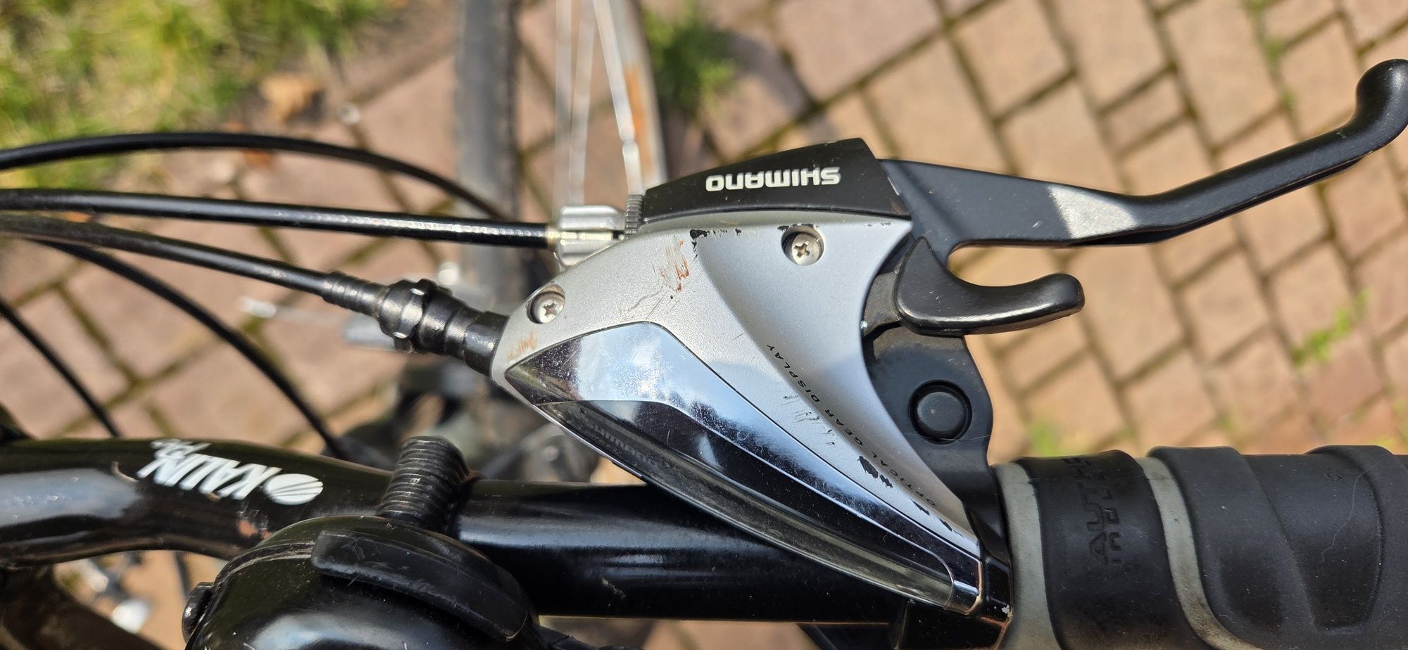 Rower auhtor classic 20