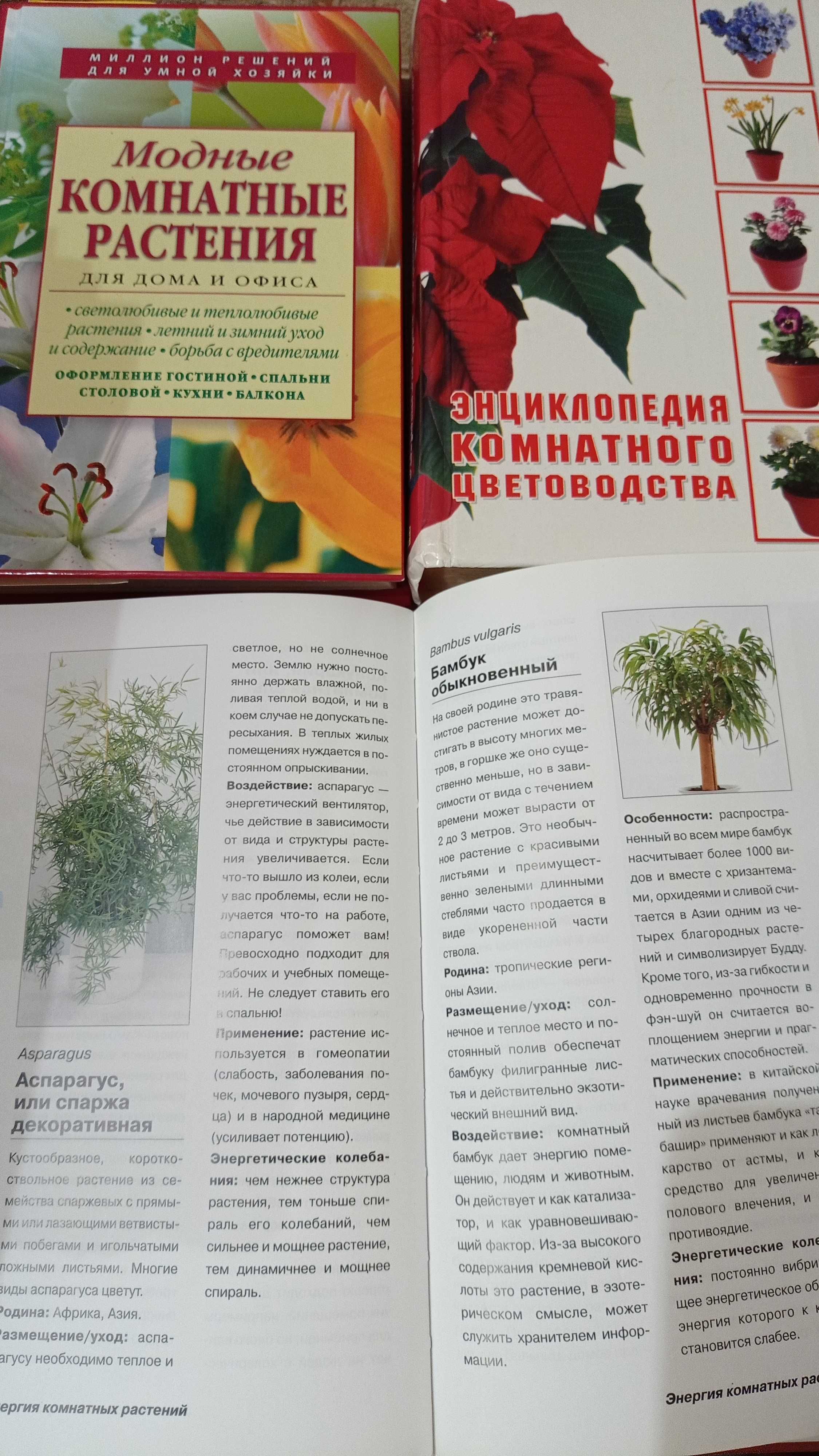 Книги про кімнатні рослини