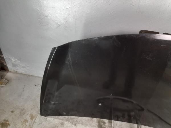 Capot RENAULT Clio III (BR0/1, CR0/1)