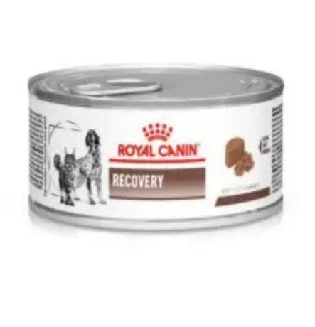 Royal Canin Recovery 195 г