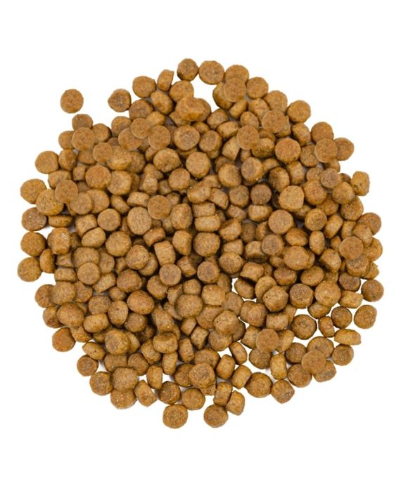 Сейворі для довгошерстних котів 2 кг