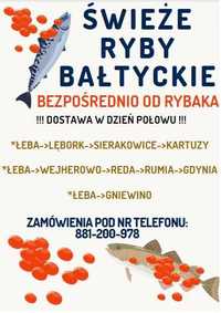 Świeże Ryby BAŁTYCKIE od Rybaka