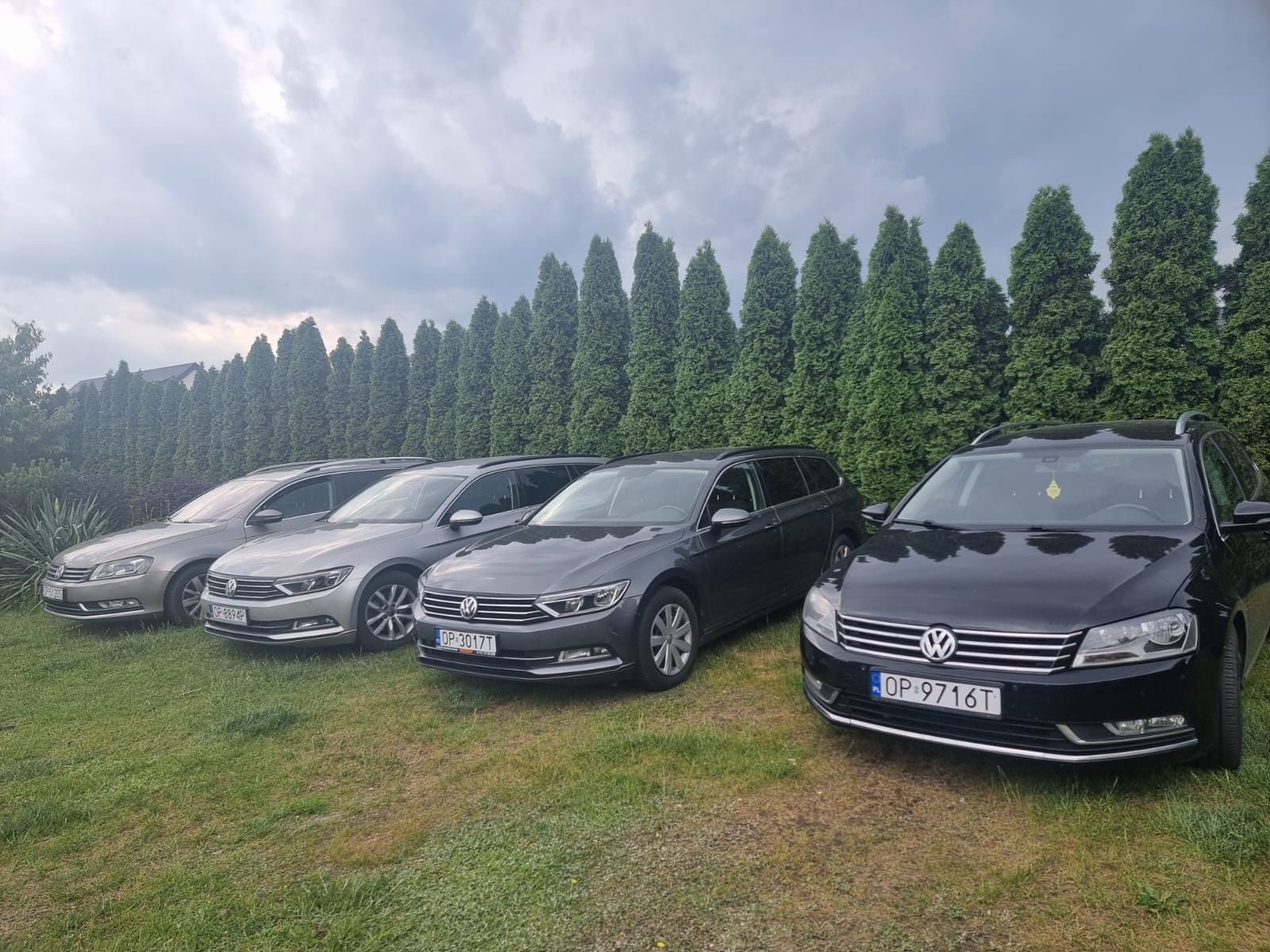 Wynajmem Samochodów Osobowych/7 osobowe / Busy 9 osobowe