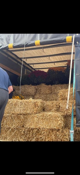 Сіно/ солома для тваринок