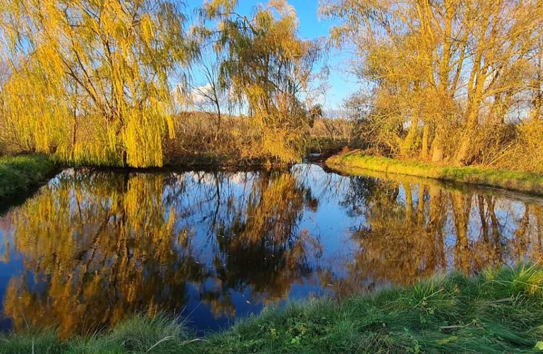 Затишний будинок  село Шаровечка