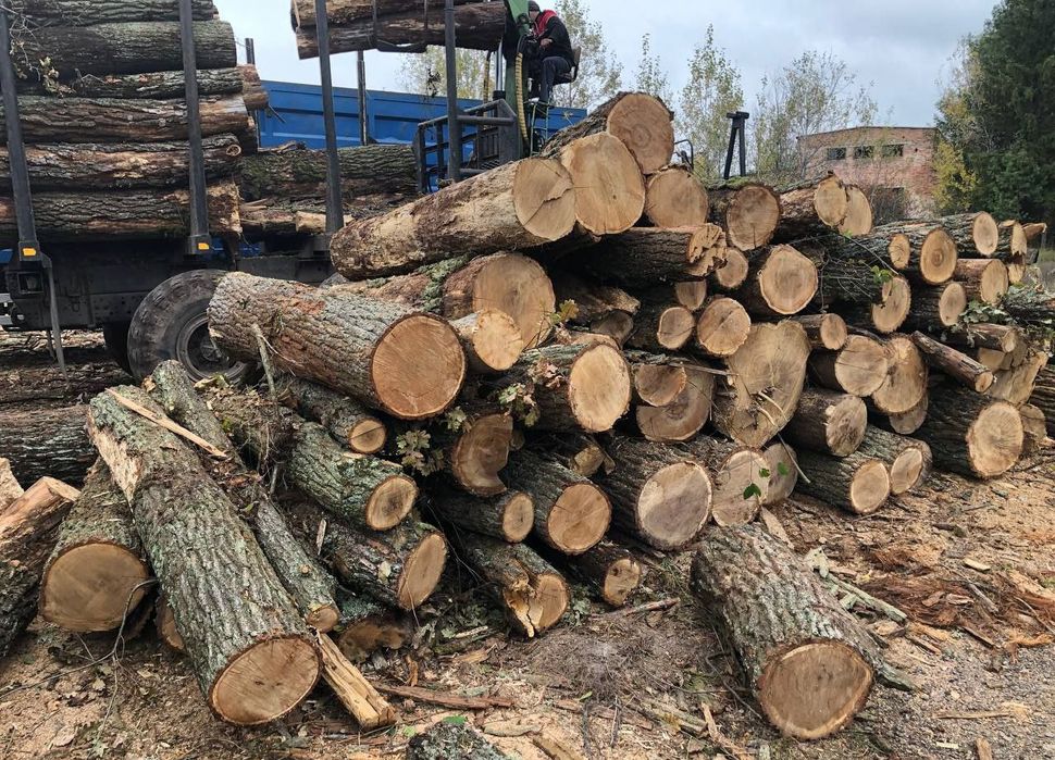 Продам дрова Оптом та в роздріб.  дубові тверді породи. 3-7-10-30 м3