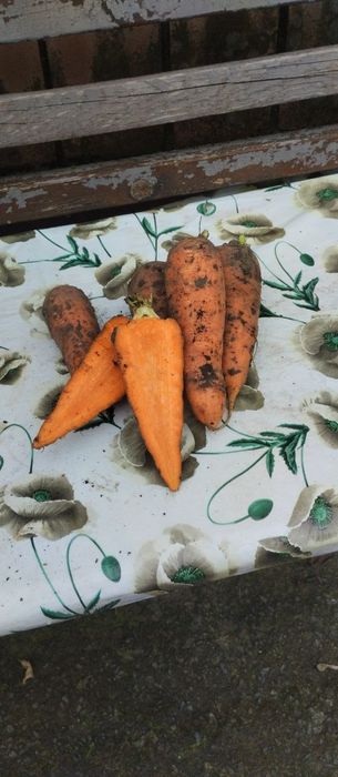 Продам овочі(капуста,морква,картопля,)