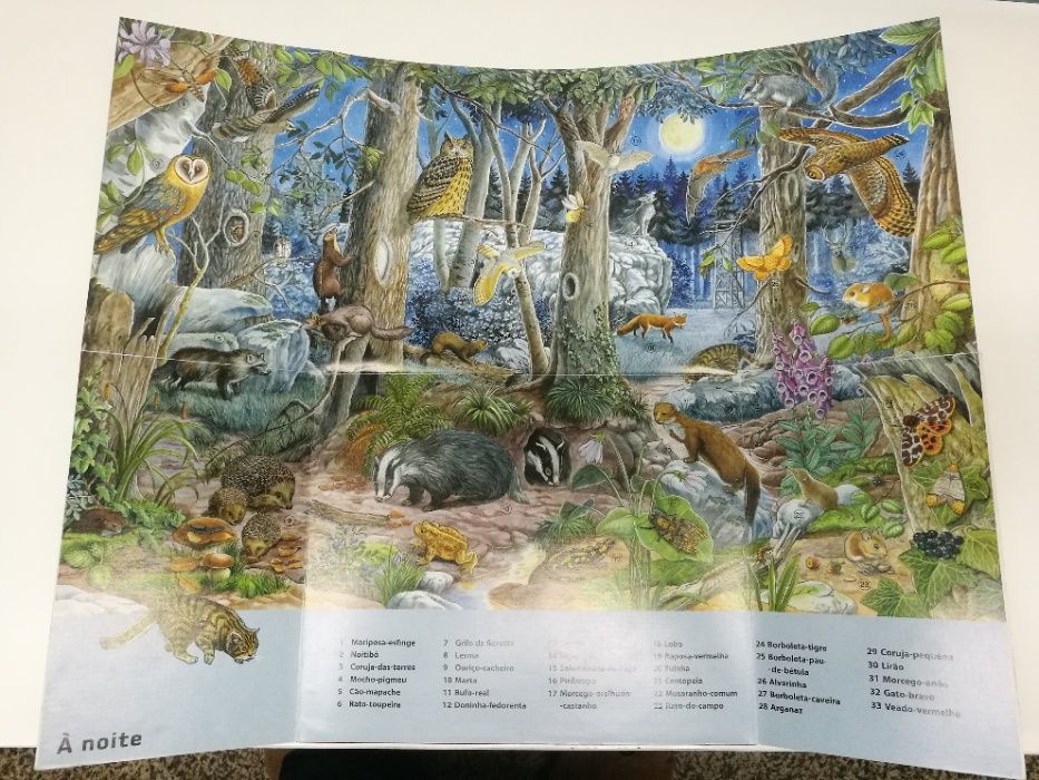 Aventuras de animais - National Geographic
