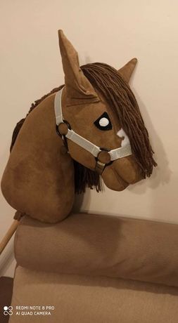 Hobby Horse Konik