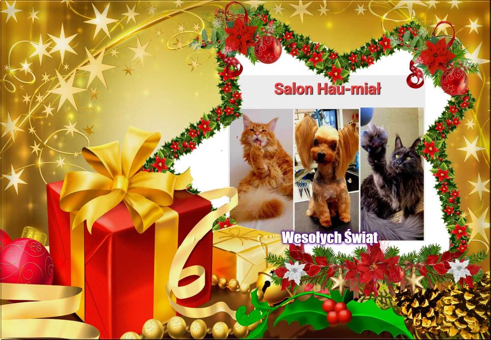 Salon Pielęgnacji Psów i Kotów HAU-MIAŁ