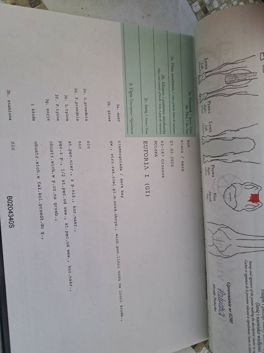 Na sprzedaż śliczna klacz Śląska