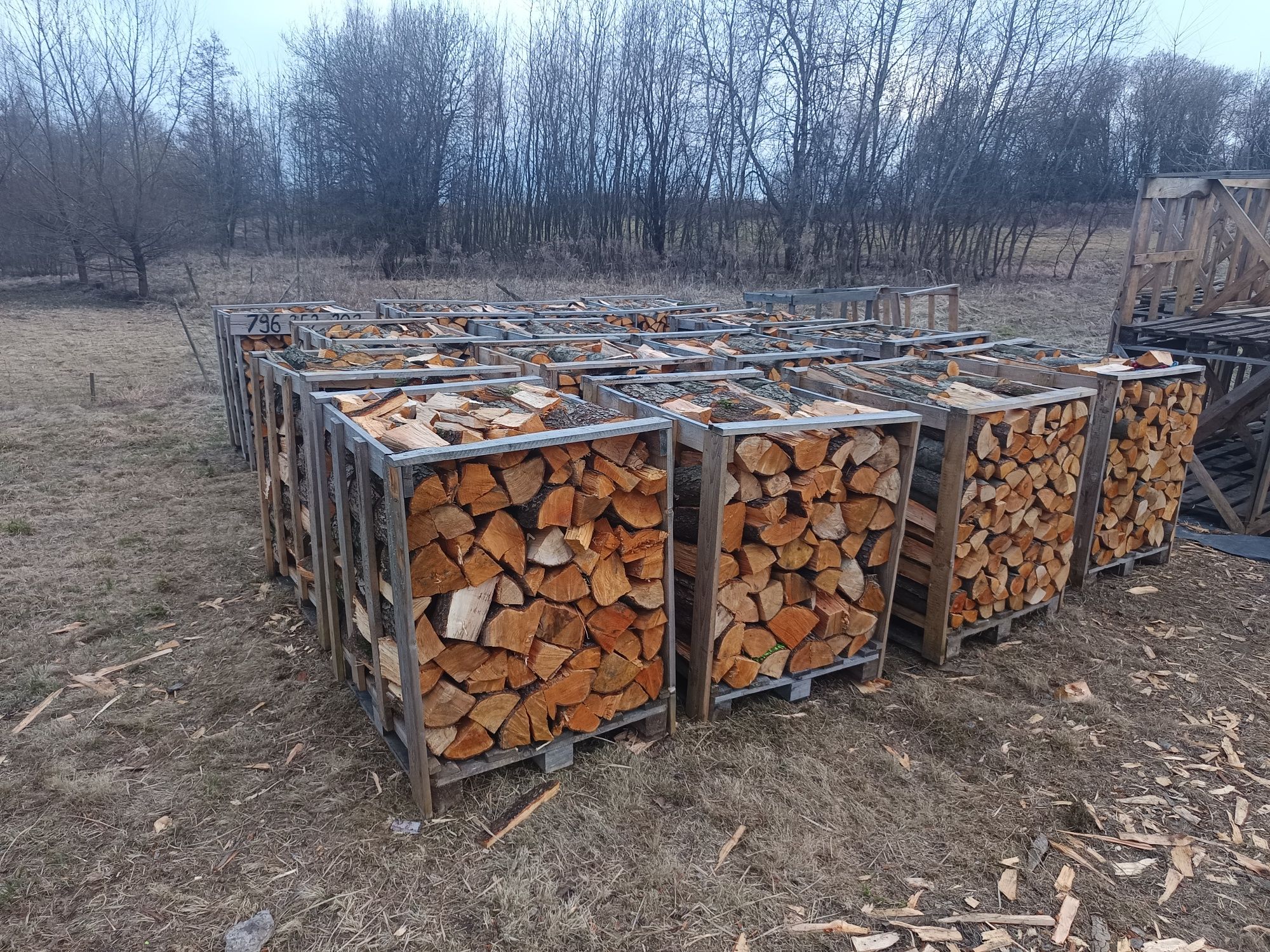 Drewno kominkowe opałowe buk brzoza olcha dąb sosna