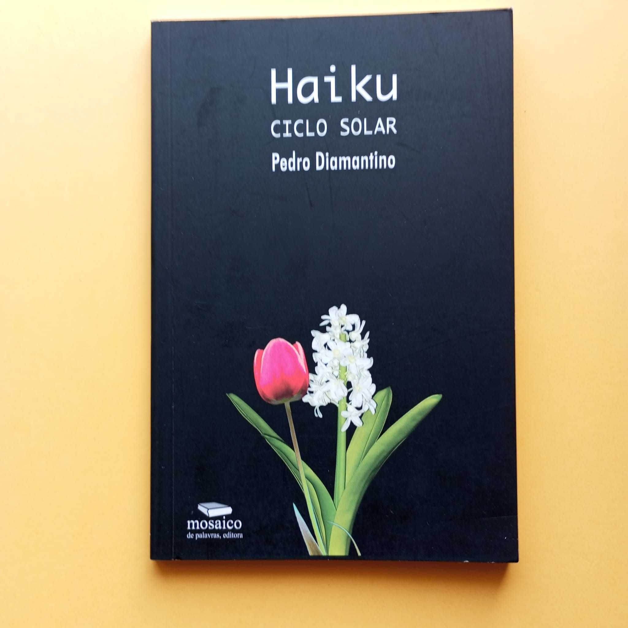 Haiku Ciclo Solar - Pedro Diamantino
